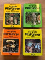 Der große Pilzführer – 4 Bände von Bruno Cetto