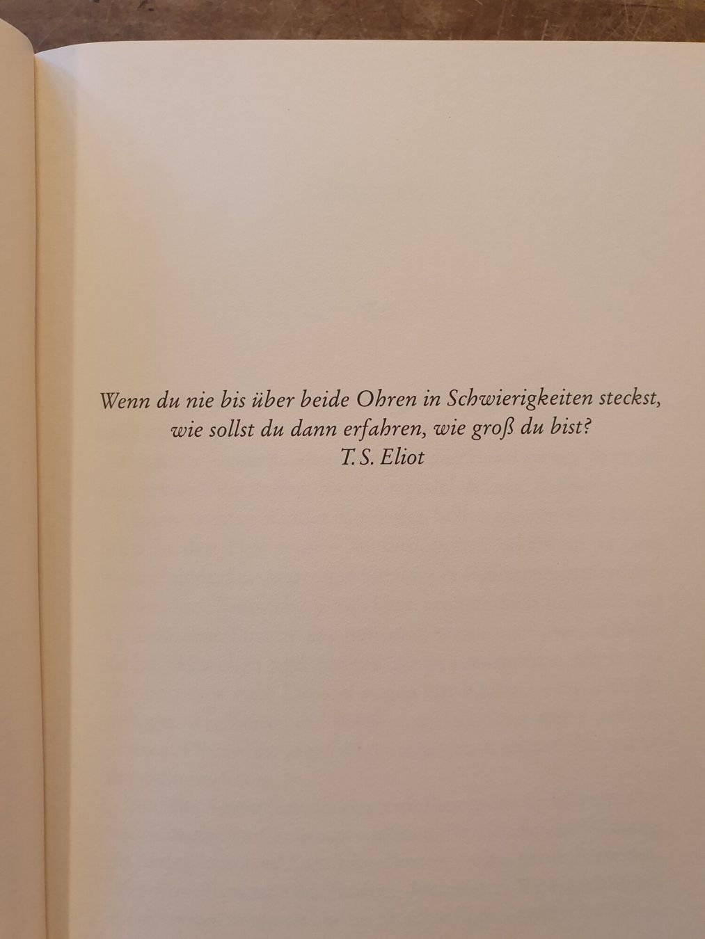 Libri: Shadow Knights - Dave Rudden - Fischer – Usato da Zürich venduto da loosebone 4