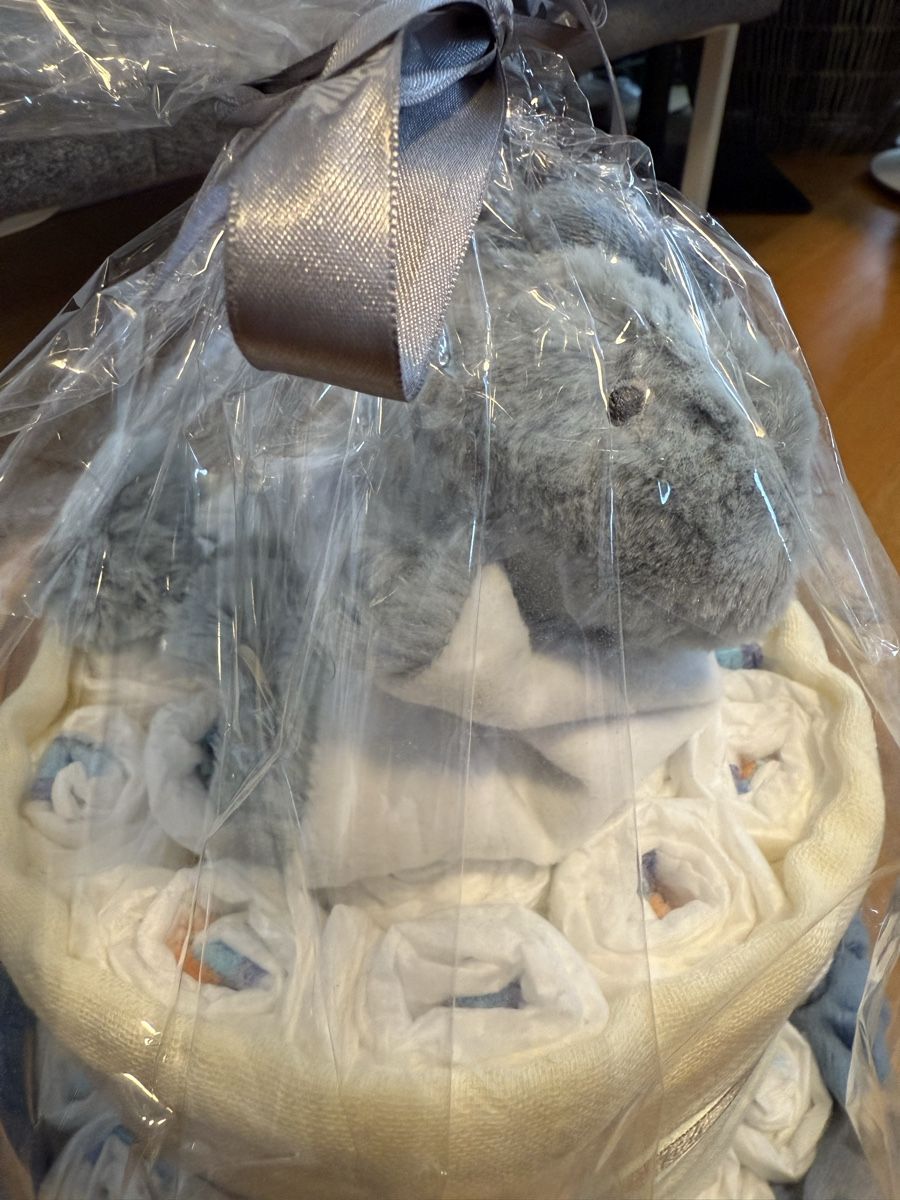 Secchi per pannolini & Pannolini: Love Kids Windeltorte Dino – Nuovo e nell'imballaggio originale da Lenzburg venduto da car_pzg8 1