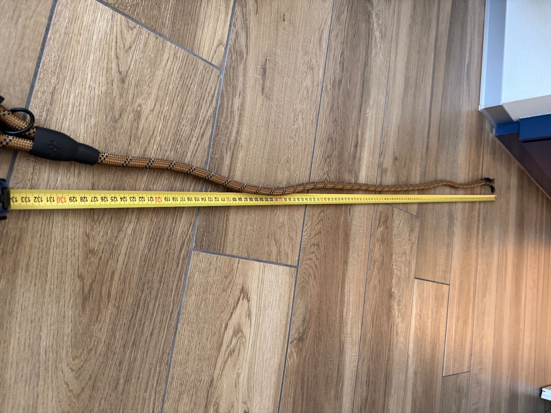 Leine & Halsband: Hundegeschirr Gr. M – Neu (gemäss Beschreibung) aus Altstätten SG von Noahhaef 1