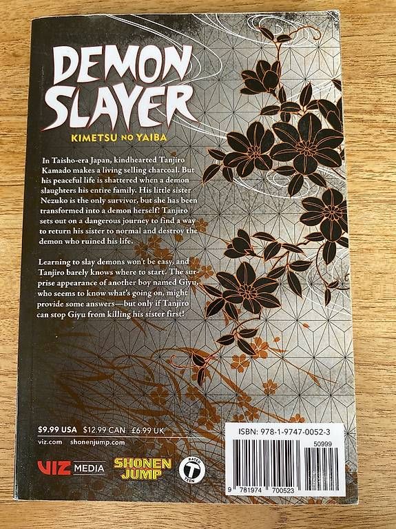 Fumetti: Demon Slayer Band 1 EN – Usato da Rämismühle venduto da sau_der 1