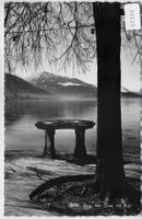 Zug - Am Quai mit Rigi