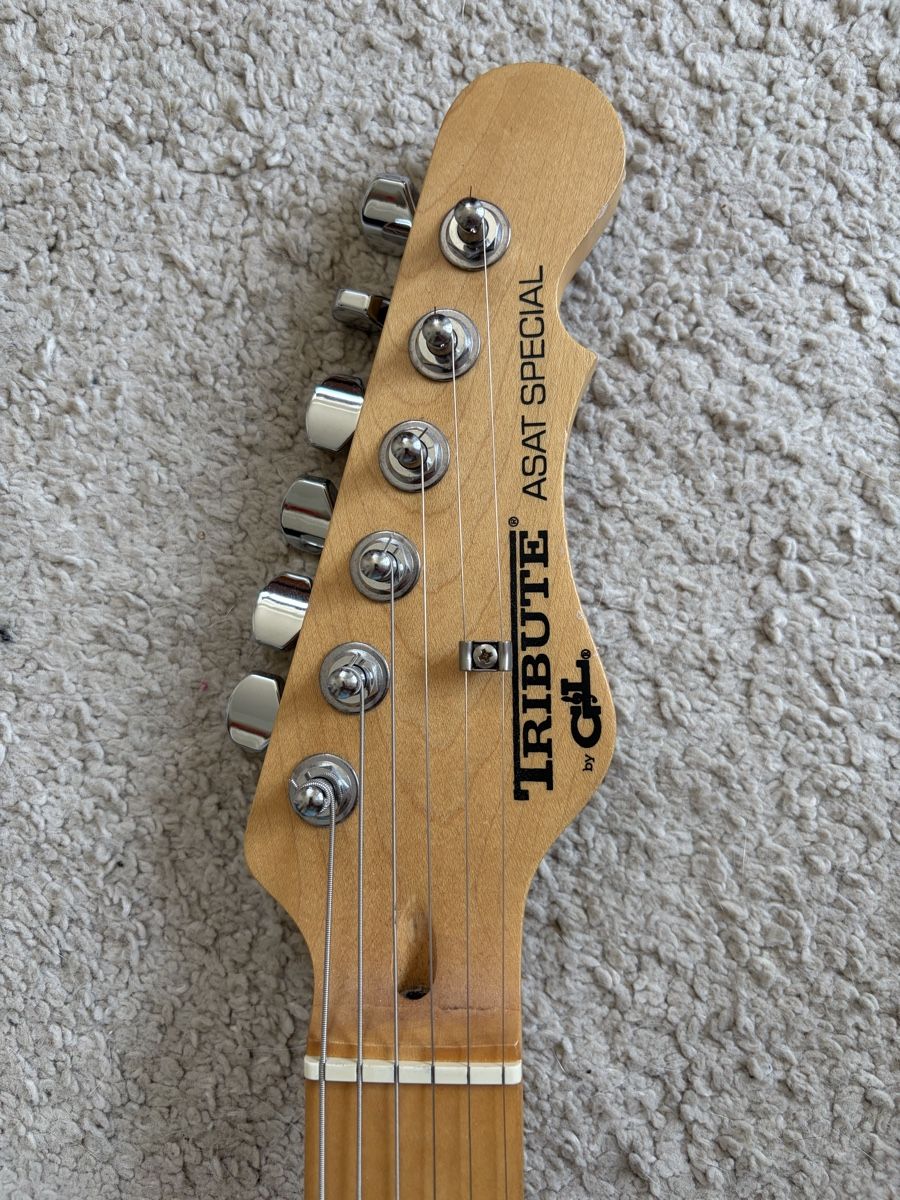Strumenti musicali: G&L Tribute ASAT Special E Gitarre  – Usato da Zürich venduto da sebrud 3
