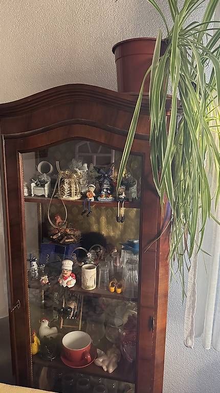 Vitrinen: Holzvitrine – Gebraucht aus Luterbach von paulchen06 2