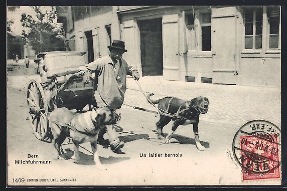 Cartoline postali: Bern, Milchfuhrmann mit seinem Hundegesp – Usato da Berlin venduto da bartko-reher