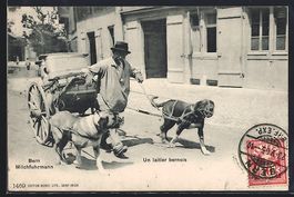 Bern, Milchfuhrmann mit seinem Hundegesp