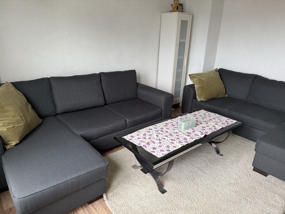 Divani: Sofa – Usato da Schlieren venduto da Flower5 8