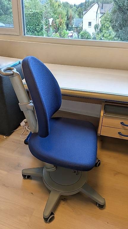 Sedie a rotelle: Bürostuhl Maximo von Moll – Usato da Nürensdorf venduto da Kakadu111