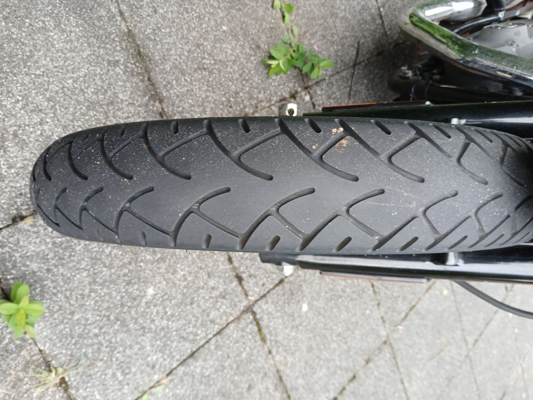 Harley-Davidson Chopper: Harley Davidson XL1200N – Usato da Birsfelden venduto da fab_sc2j 6
