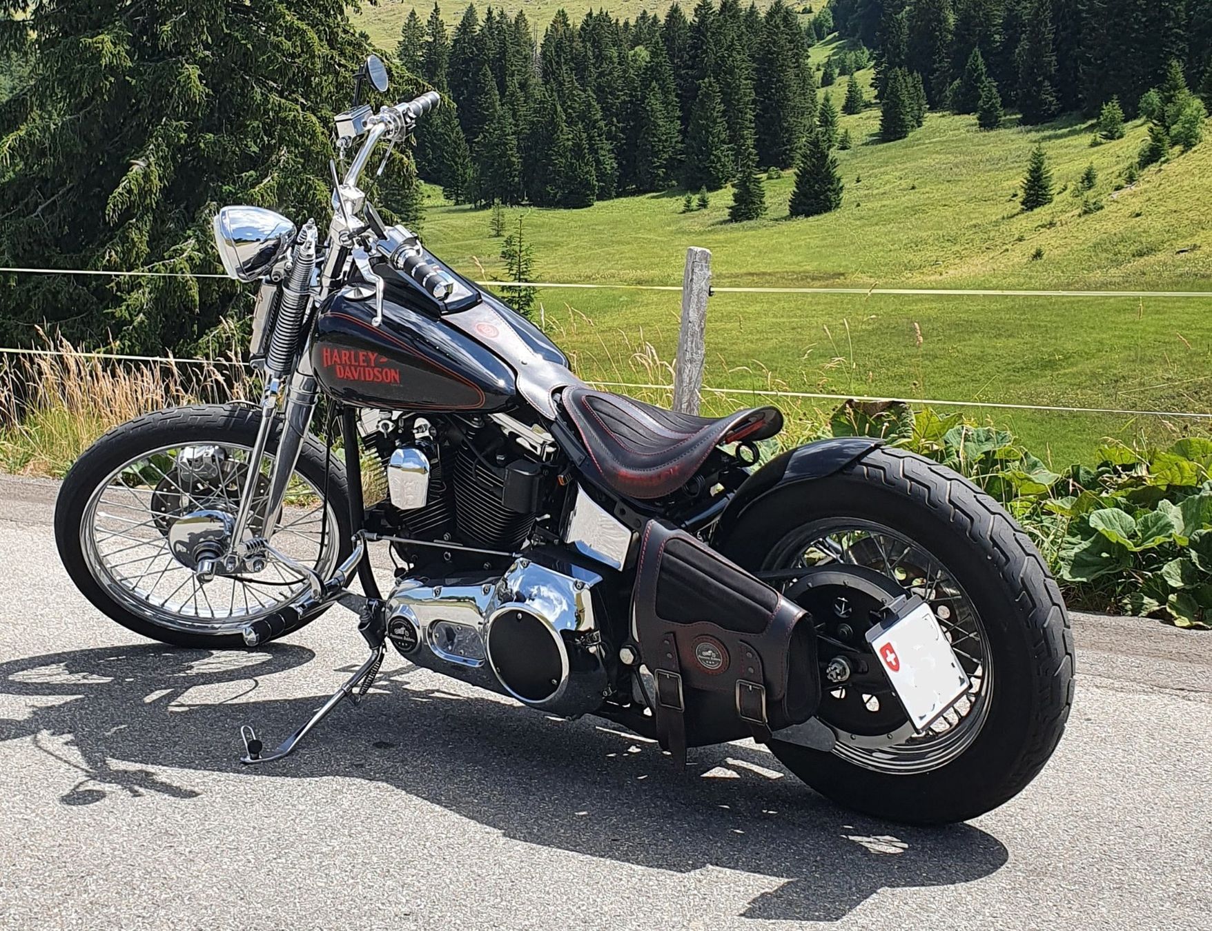 Harley-Davidson Chopper: Harley Davidson 93er Softail Springer "The Redback" – Usato da Aarwangen venduto da franky007 3