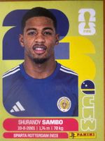 Panini CUW8