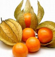 Ab 5.-fr ! ⚠️RARITÄT⚠️! 10 SAMEN LAMPIONPFLANZE ORANGEROT