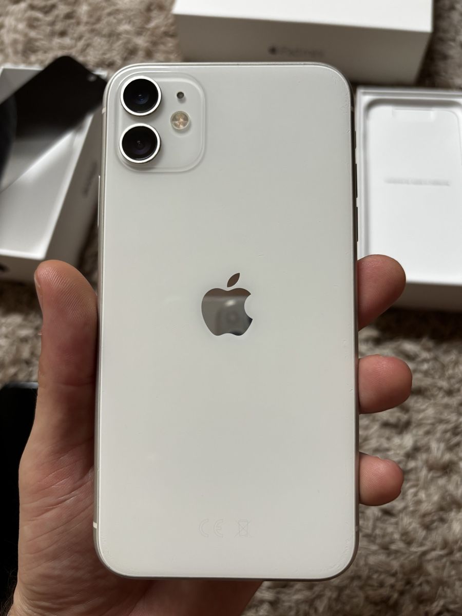 Apple Telefoni cellulari / Smartphones: Apple-lot - IPhone11, IPad mini3, IPad1 e IPad2 – Usato da Wolfwil venduto da arg_pd2v 6