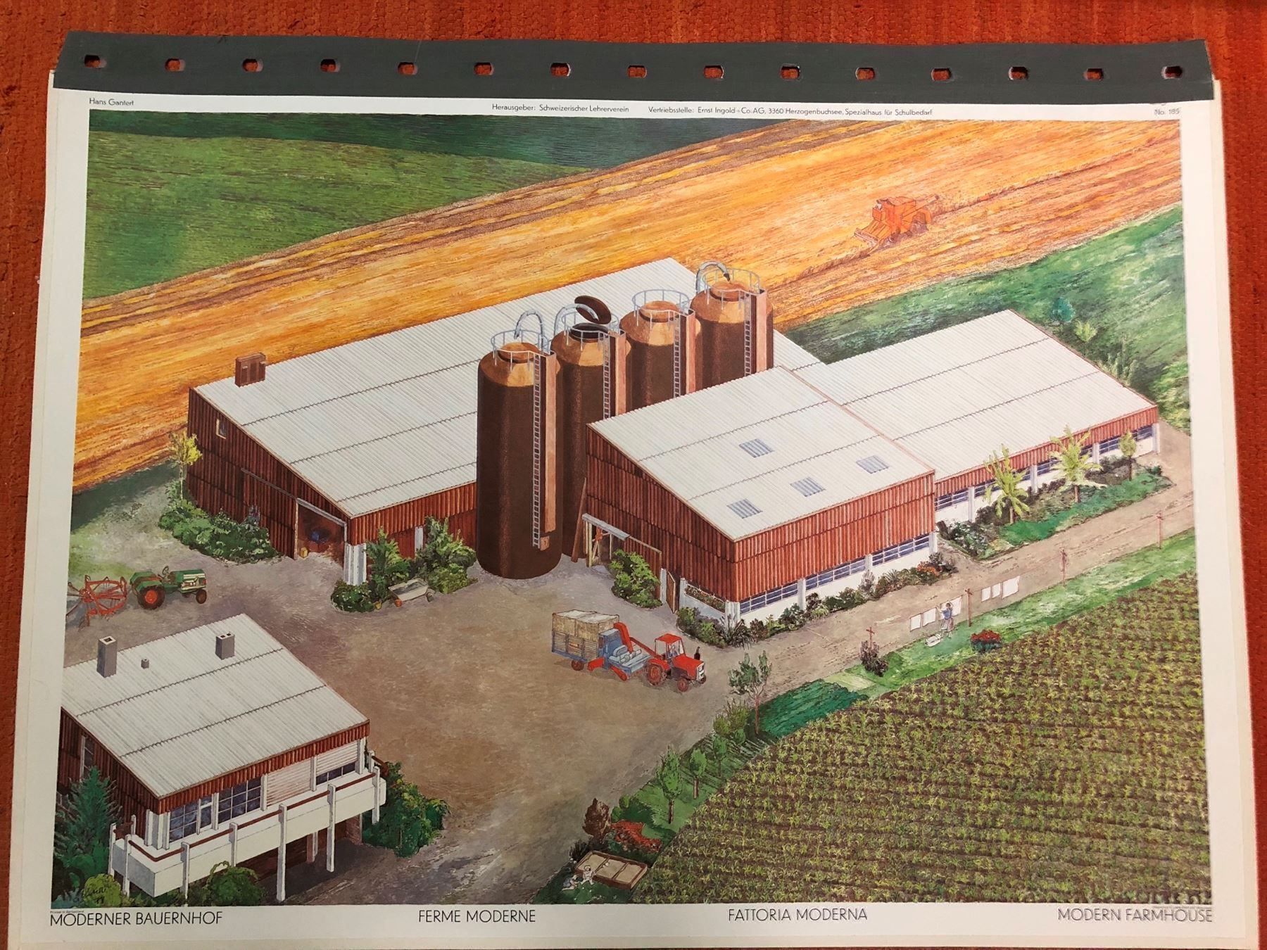 Posters & Illustrations: Schulwandbild: Moderner Bauernhof mit Begleitheft! – D'occasion à Dietikon par Buchantiqdietikon