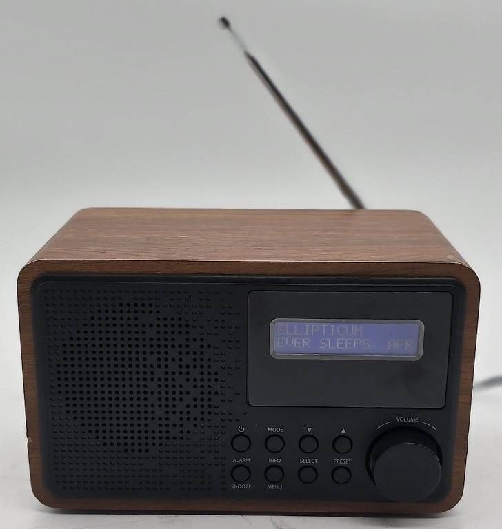 Radio: Radio DAB/DAB+ e FM RDS – Usato da Sagno venduto da cca_q6yr