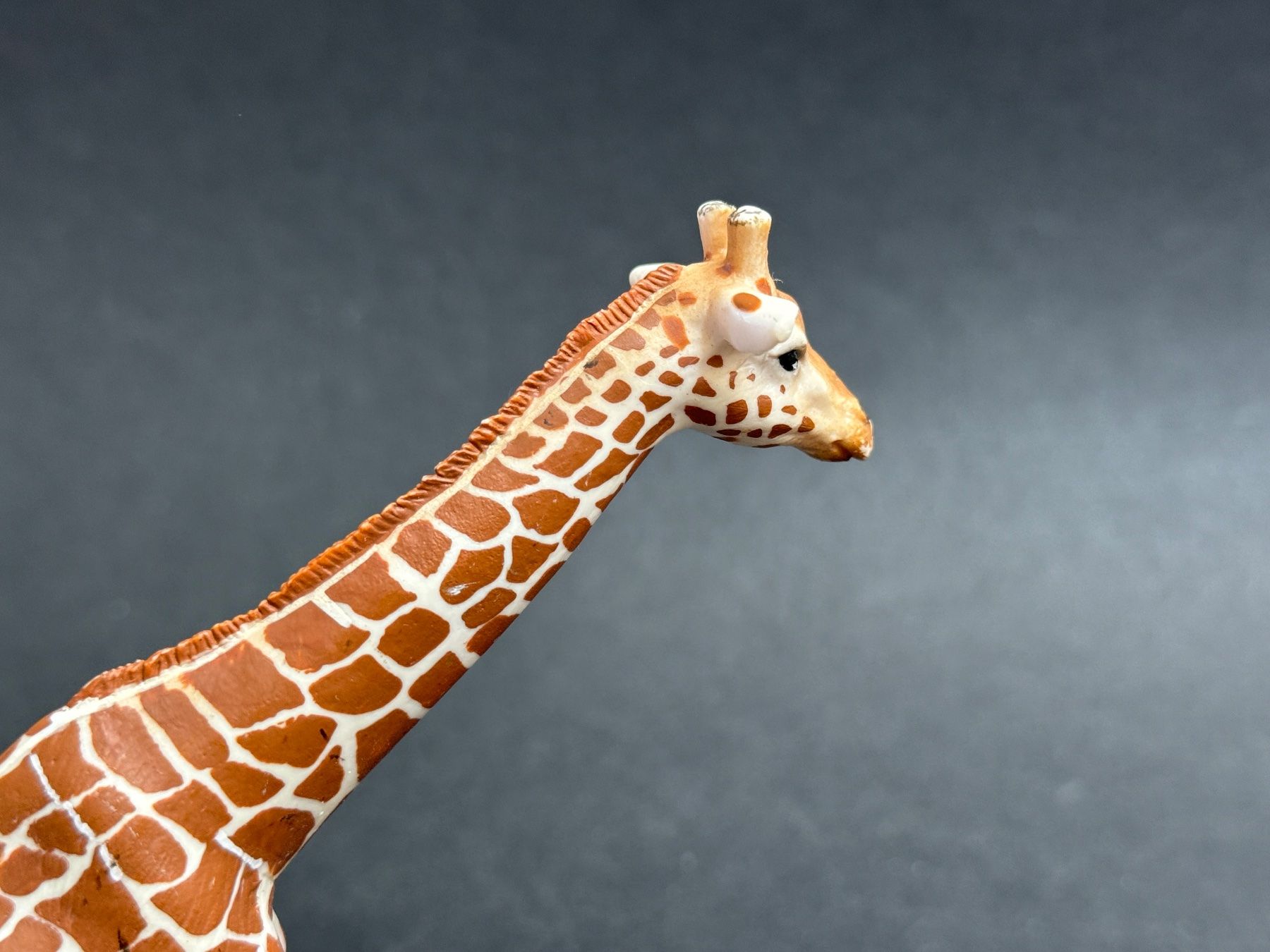 Schleich Statuette: Schleich Giraffe und Giraffenbaby – Usato da Ennetbaden venduto da mapa05 3