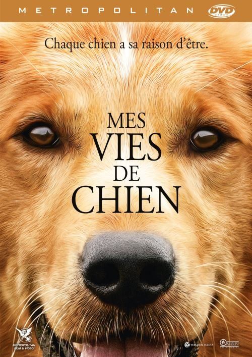 Alle DVDs: MES VIES DE CHIEN - Dennis Quaid – Gebraucht aus Onex von Pascalito_01
