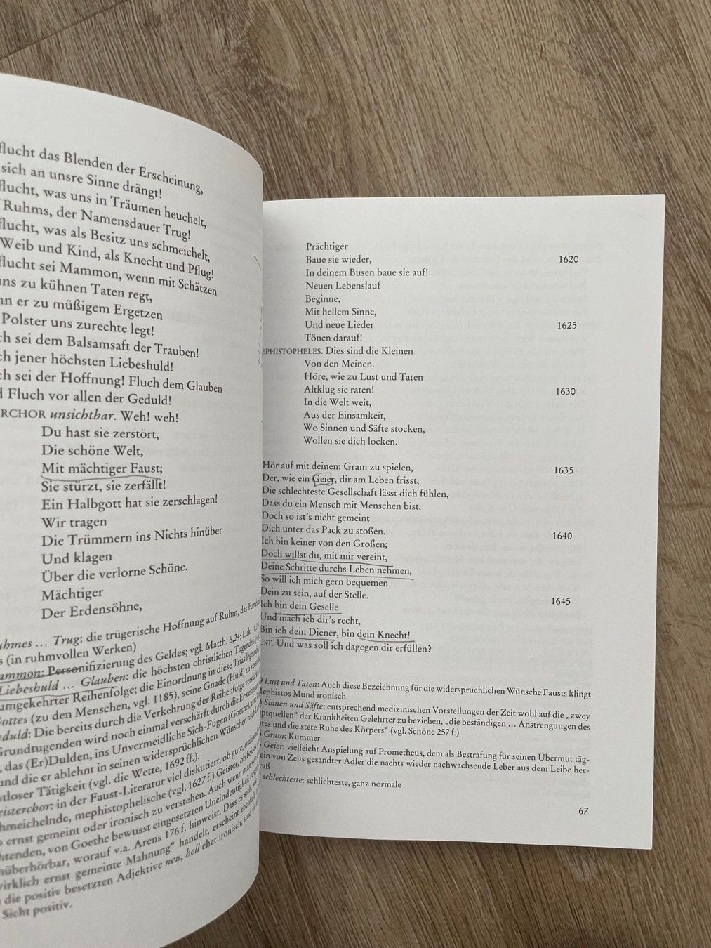 Bücher: Faust I, Johann Wolfgang Goethe – Gebraucht aus Oensingen von mat_rty9 1