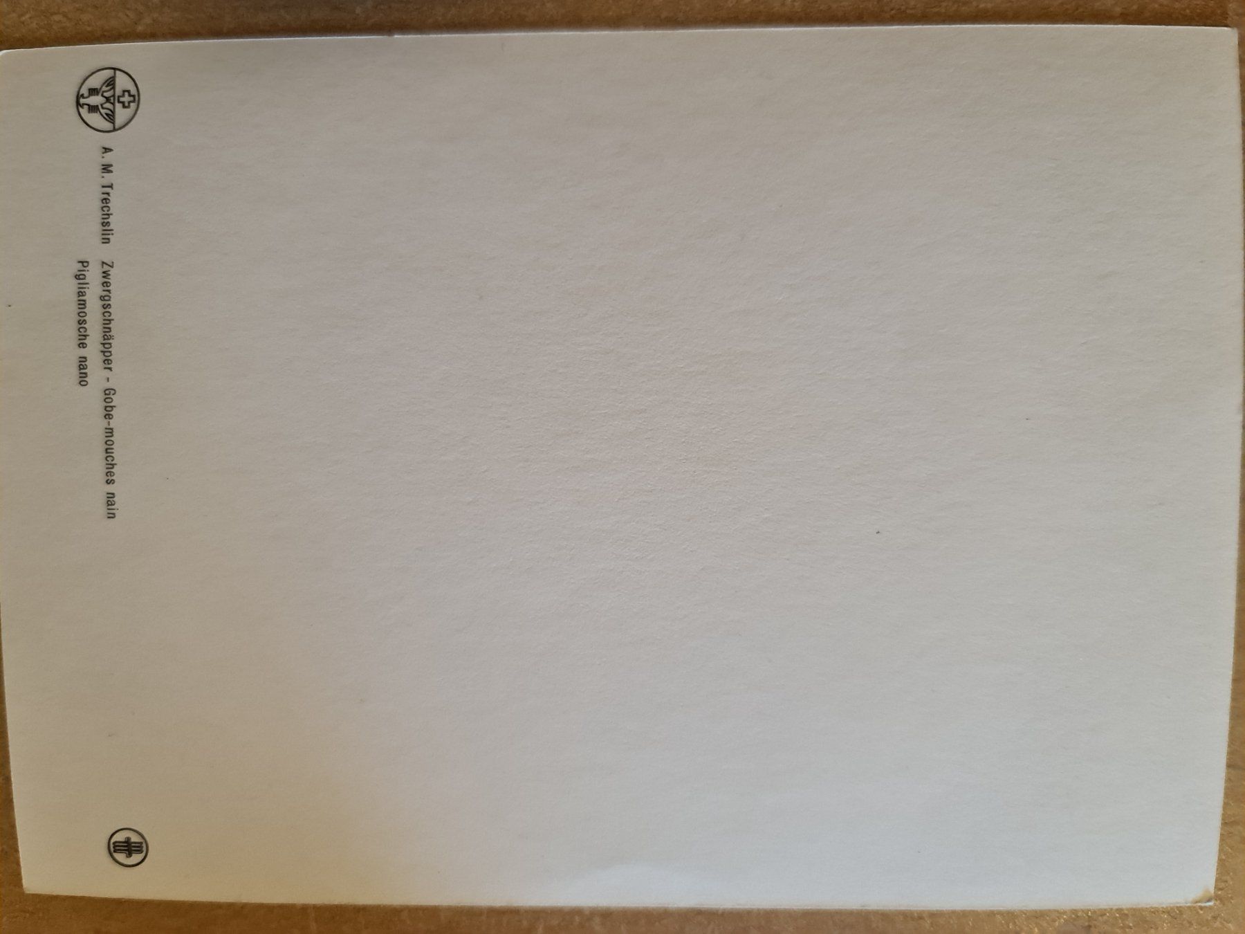 Cartoline postali: Ansichtskarte Zwergschnäpper Vogel – Nuovo (secondo la descrizione) da Dintikon venduto da Vexi 1