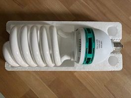 Lampen für Softbox 150 Watt