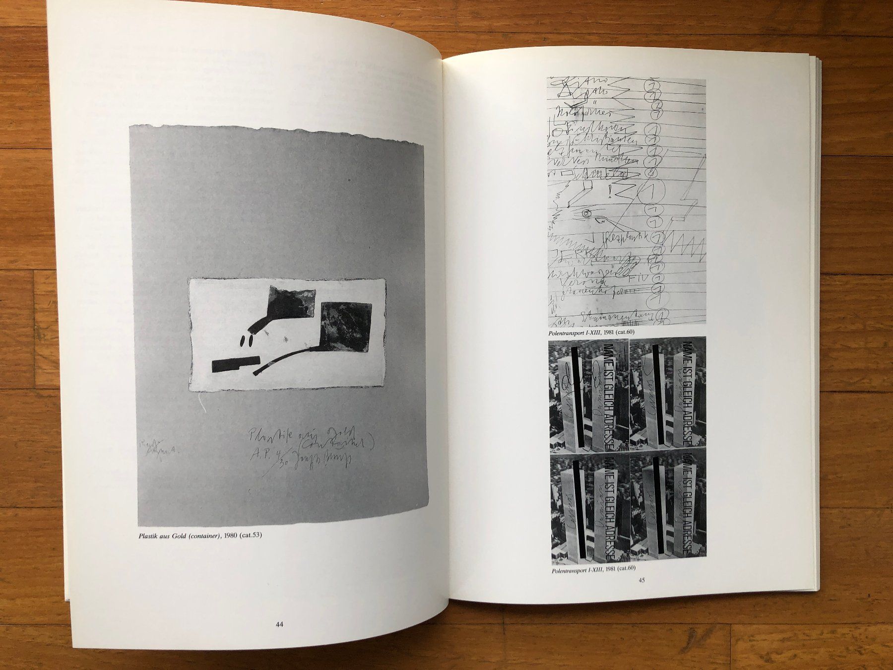Libri: Kunst Buch: JOSEPH BEUYS - Polentransport 1981 – Usato da Lugano venduto da gio.yo 4