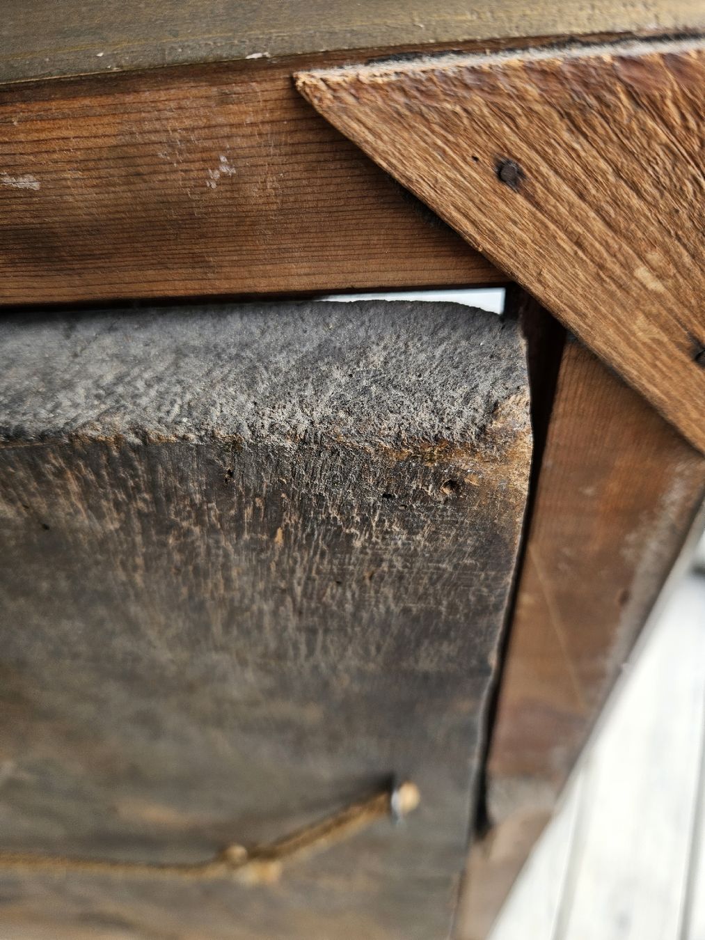 Gemälde: gemälde mittelalter – Gebraucht aus Schwellbrunn von Omega-alpha 1