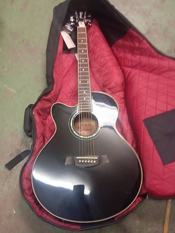 Strumenti musicali: Lefhander guitar richmond – Usato da Basel venduto da Petergunn