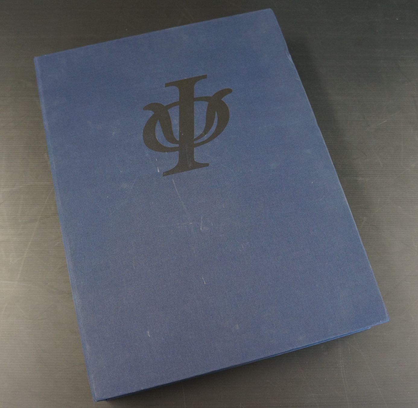 Libri: Metaphorming Minds von Todd Siler – Usato da Basel venduto da bk_brockibasel 2