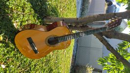 Kindergitarre zu verkaufen! Guter Zustand