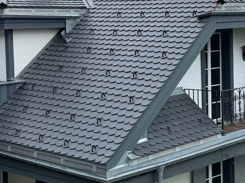 Pietre & tegole: Biberschwanz Dachziegel new – Nuovo e nell'imballaggio originale da Oberdiessbach venduto da tob_wr2d 4