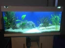 Aquarium Juwel Rio 180
