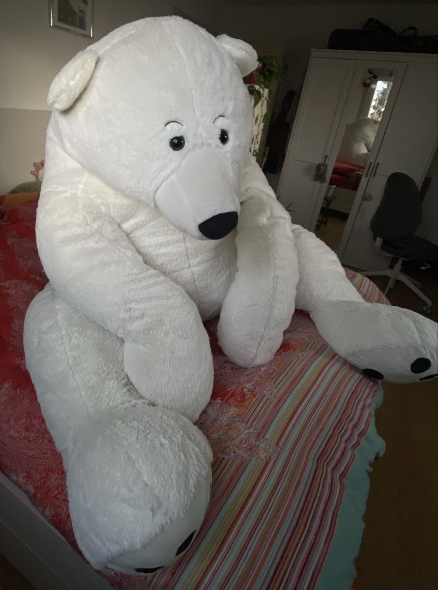 Manor Spielzeuge: XXL Plüschtier-Eisbär – Neu (gemäss Beschreibung) aus Muttenz von ala_7c7n 2