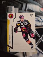 Joel Vermin SC Bern Sportzoo 2024/25