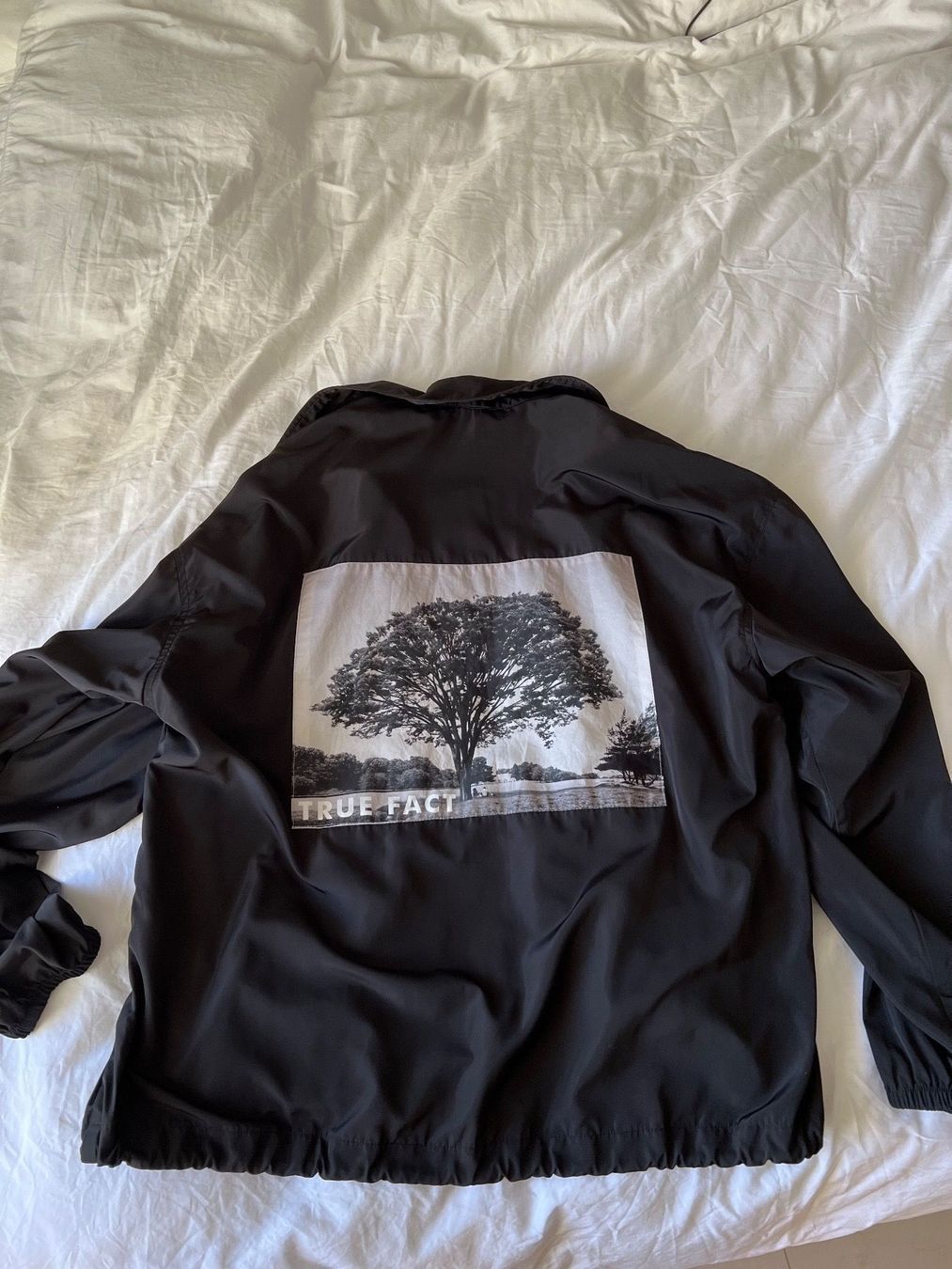 Zara Giacche: Zara Light Jacket Colour Black Size L – Nuovo (secondo la descrizione) da Hochdorf venduto da ThomasDr