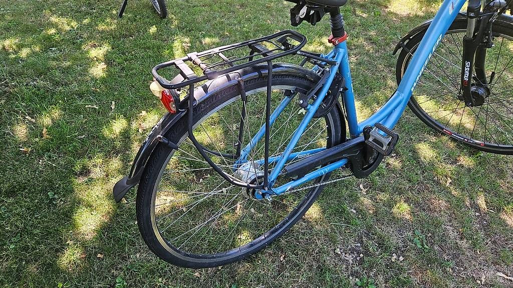 Wheeler Biciclette: Stadtvelo Wheeler Alterra leisure – Usato da Neftenbach venduto da kupl 4