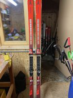 Atomic Ski 193cm GS WC Men