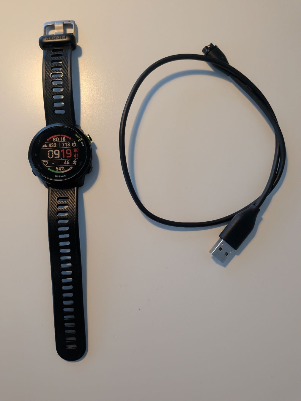 Garmin Smartwatch: Garmin Forerunner 55 – Gebraucht aus Olten von Musicmass0