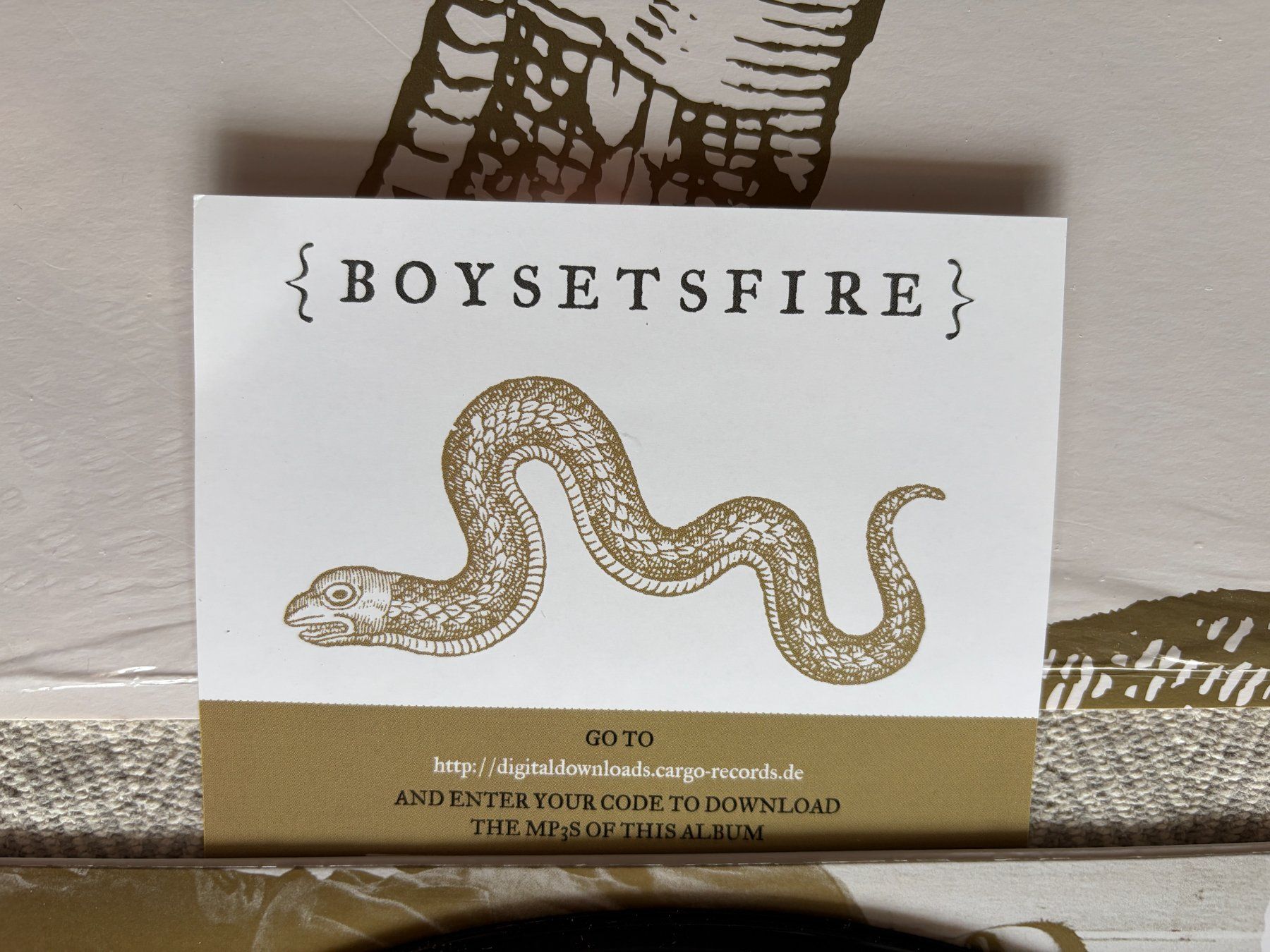 Dischi in vinile: BOYSETSFIRE - Boysetsfire - Vinyl – Usato da Aarberg venduto da umearocks 2