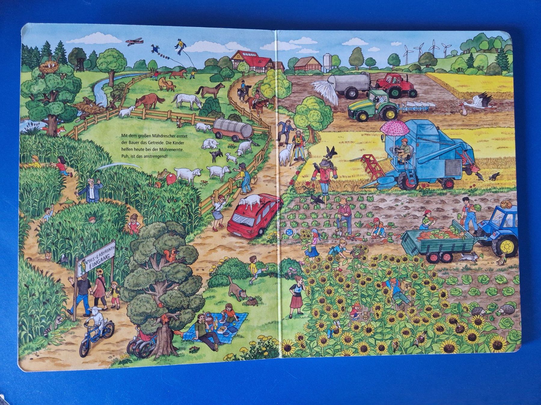 Bücher: Bauernhof Wimmelbuch – Gebraucht aus Münchenbuchsee von Aare22 2