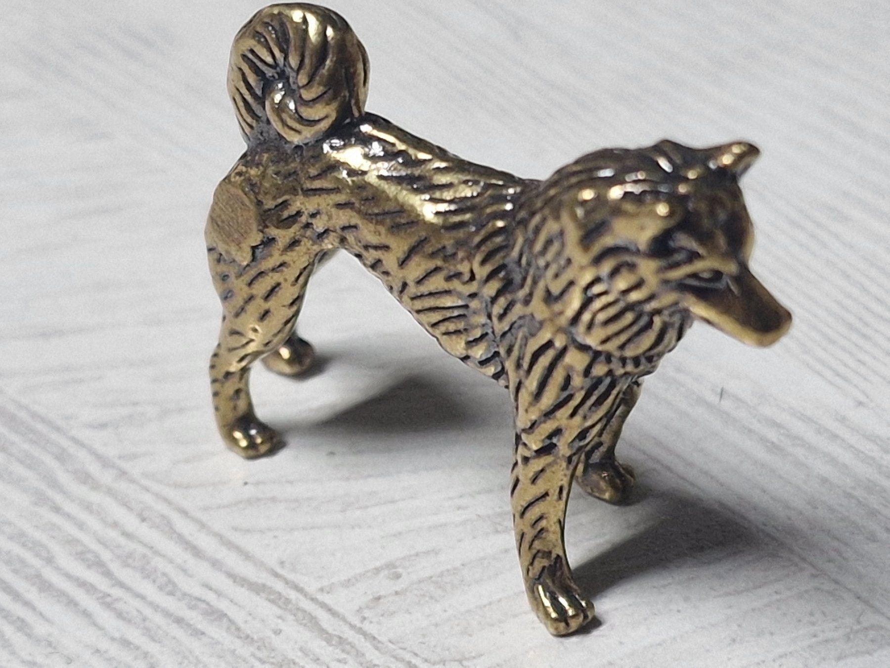 Statuette: Hund aus messing – Nuovo (secondo la descrizione) da Uerkheim venduto da Justi.y