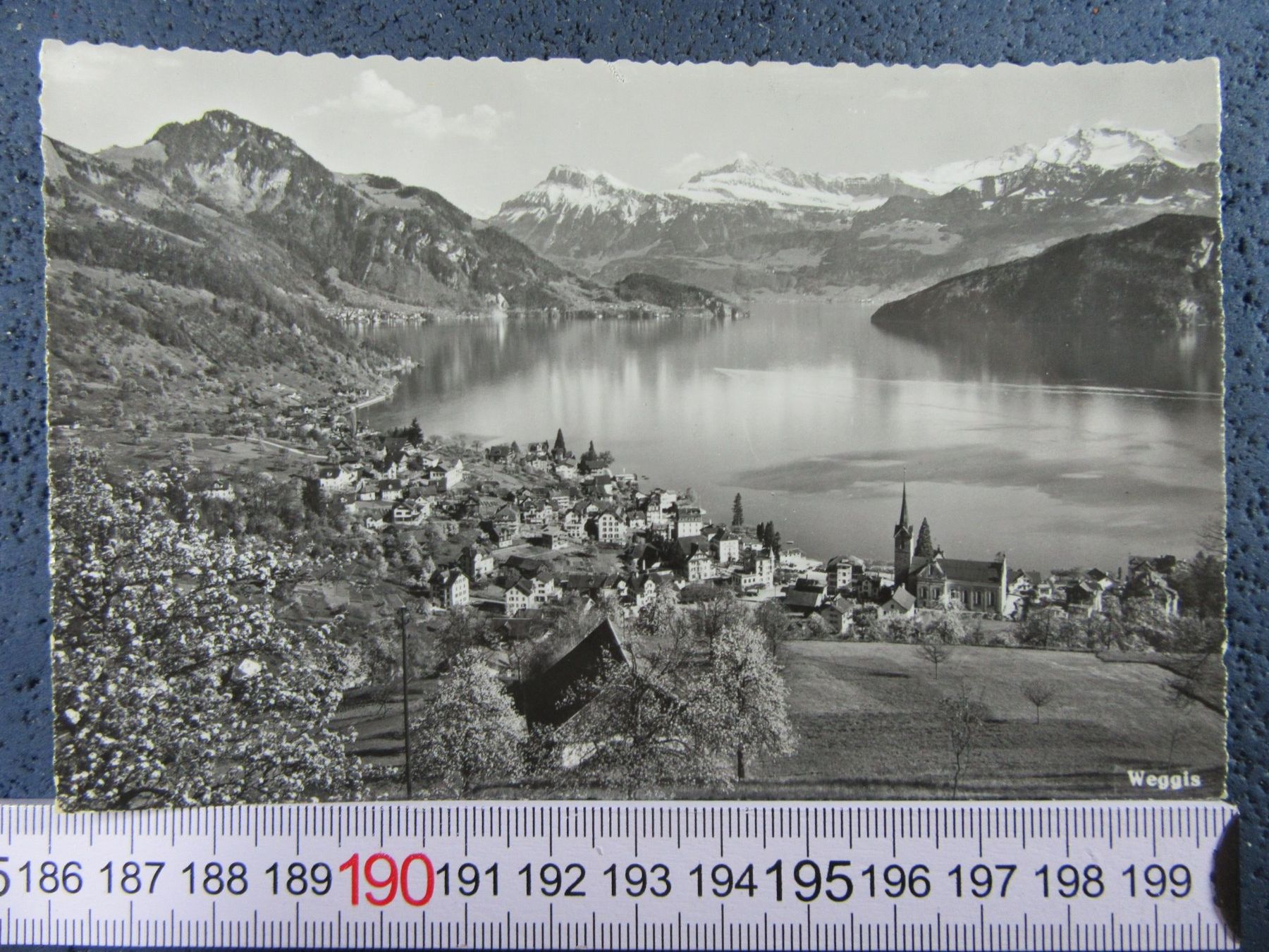 Cartoline postali: WEGGIS LU AK VOGELSICHT – Usato da Ettingen venduto da Hausi4711