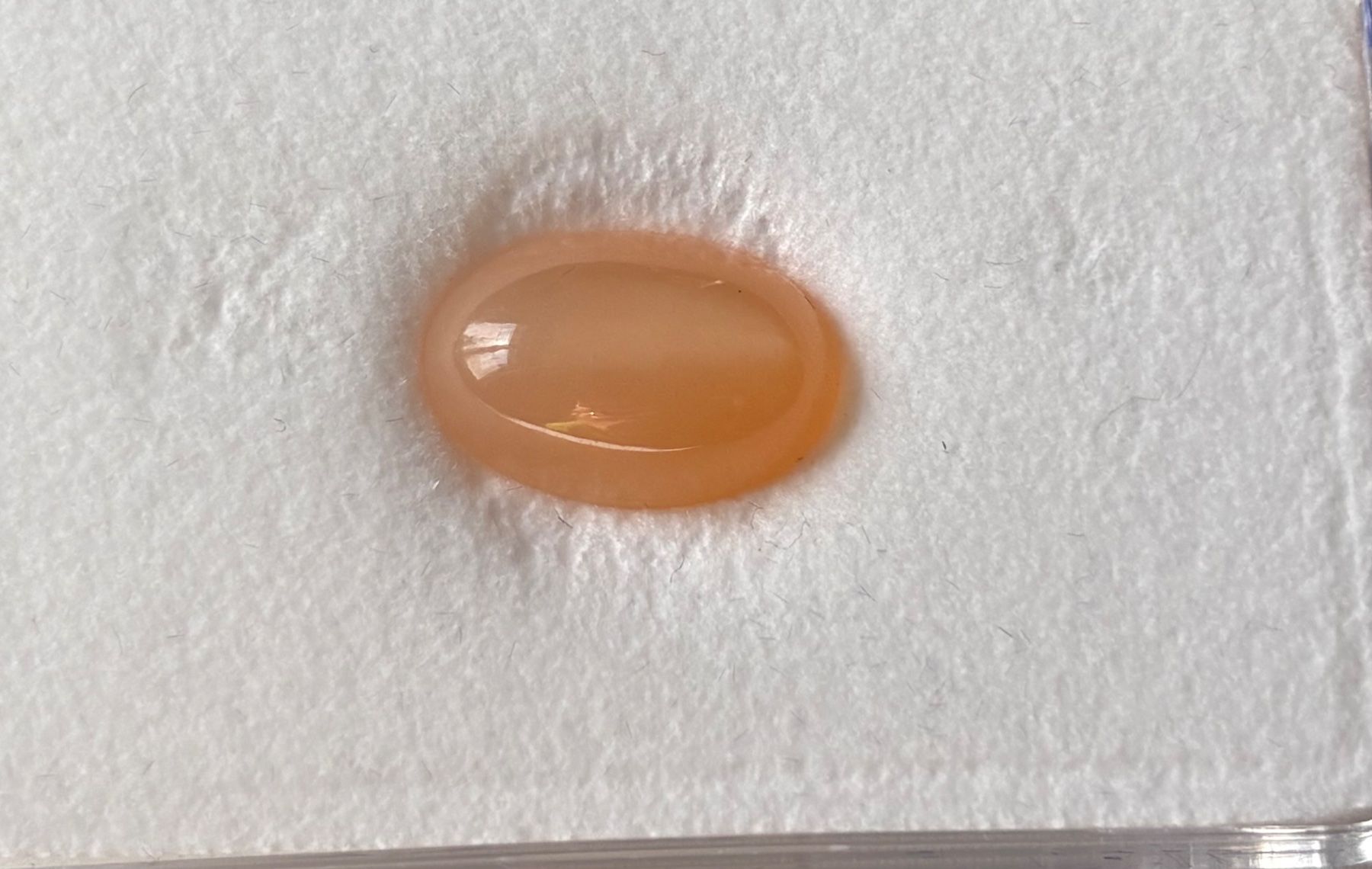 Pietre preziose: Mondstein 6.7 ct. – Usato da Brugg AG venduto da lau_9rvy 2