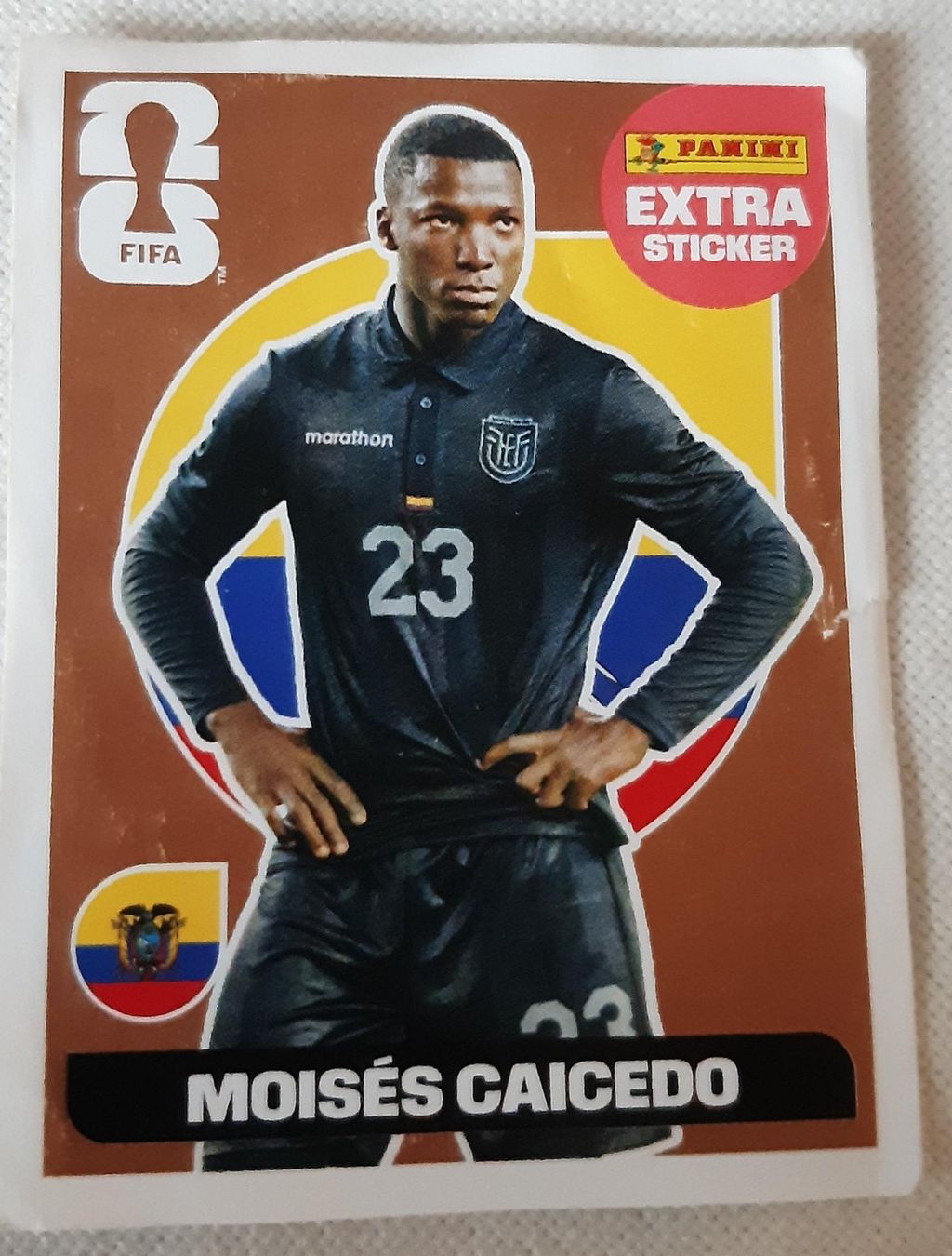 Aufkleber: Sticker Panini Moises Caicedo Ecuador FIFA Extra – Gebraucht aus Genève von mickael123