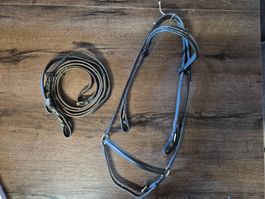 Zaumzeug Hannoversch Isländer / Cob