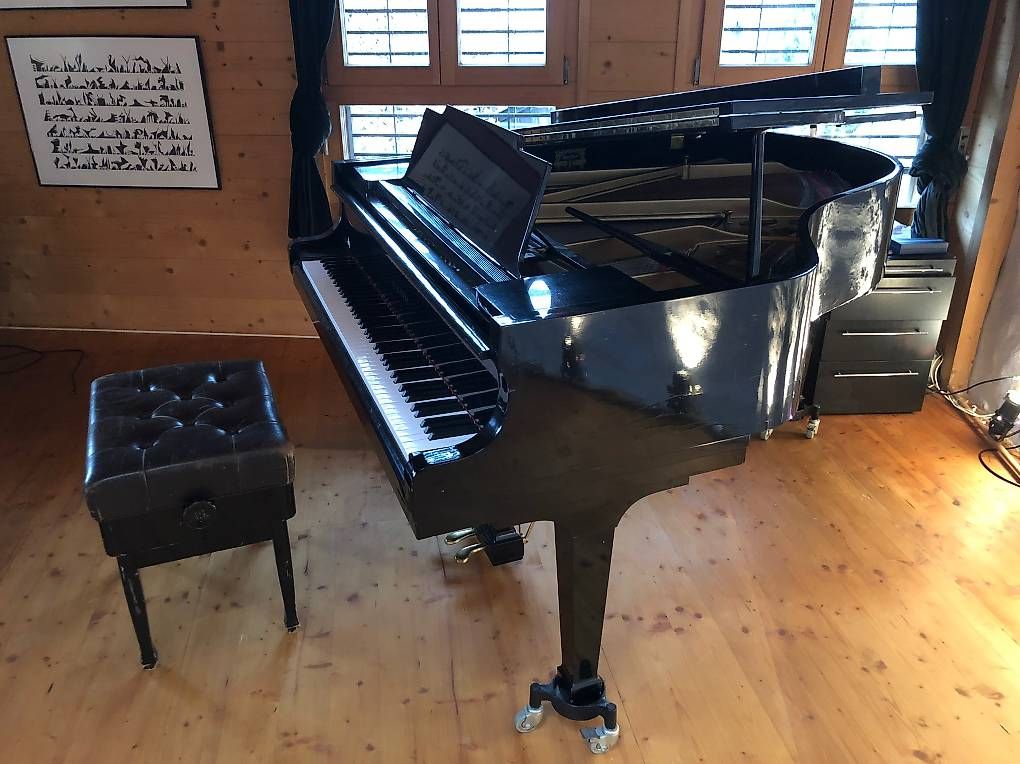 Strumenti musicali: Magnifique piano 1/4 queue à vendre  – Usato da Fully venduto da Rmailler