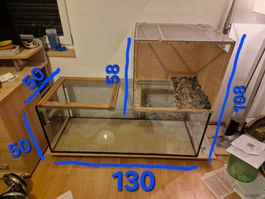 Terrarium