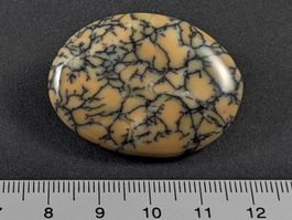 Moosopal/Dendritopal 40mm