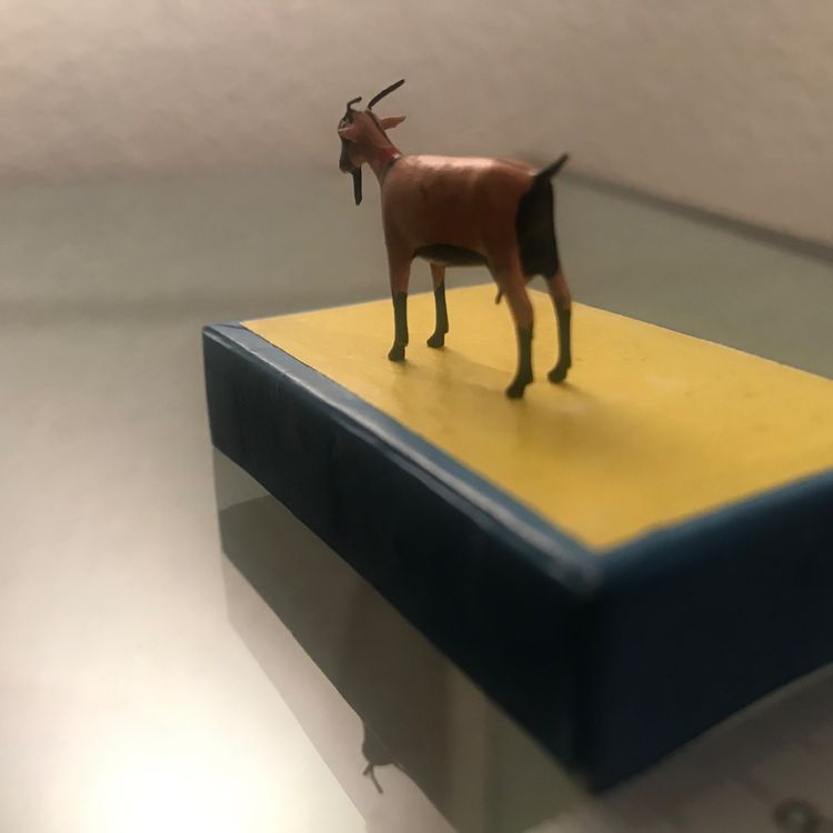 Sehr kleine detaillierte Geiss Kaufen auf Ricardo