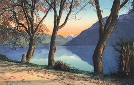 Brienzersee BE See mit Bäumen und Bergen