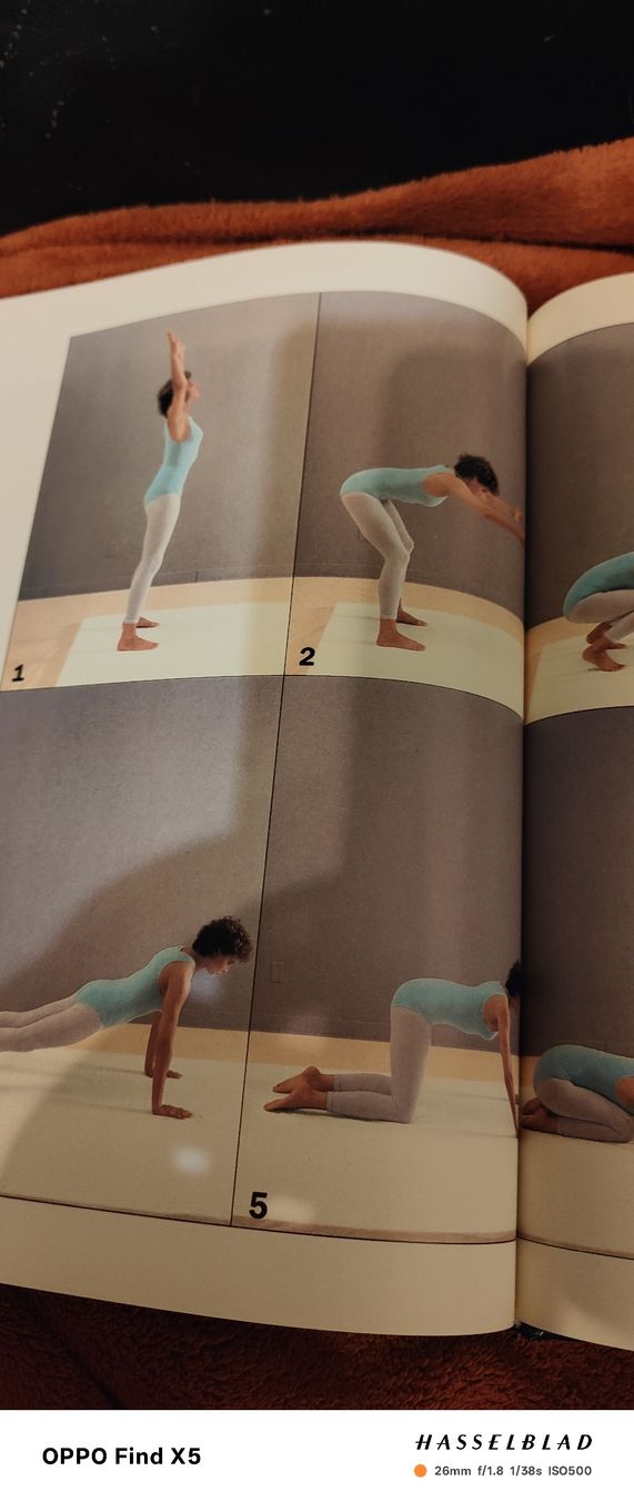 Libri: Der plastischen Körper Mehr Beweglichkeit durch Stretching – Usato da Volken venduto da katz5 4